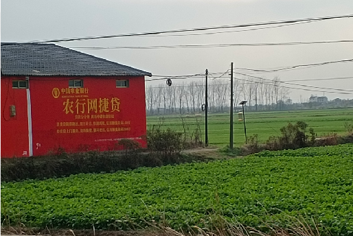 新干县如何防止墙体广告褪色呢？