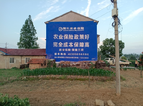 新干县墙体广告的优劣势你知道吗？