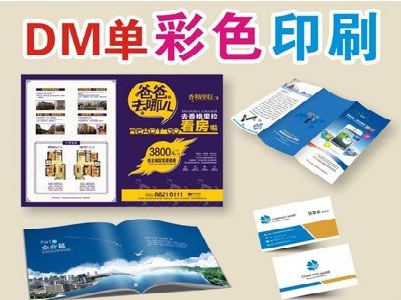 新干县单页印刷,色彩搭配简单。
